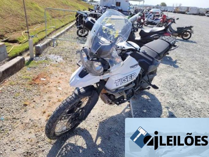 TRIUMPH TIGER 20/20
